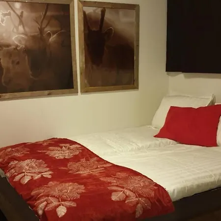 Tule Lomalle Luppoaikaan