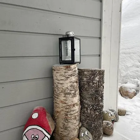 Tule Lomalle Luppoaikaan *