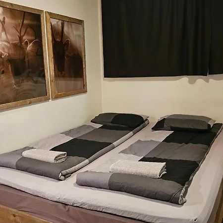 Tule Lomalle Luppoaikaan *