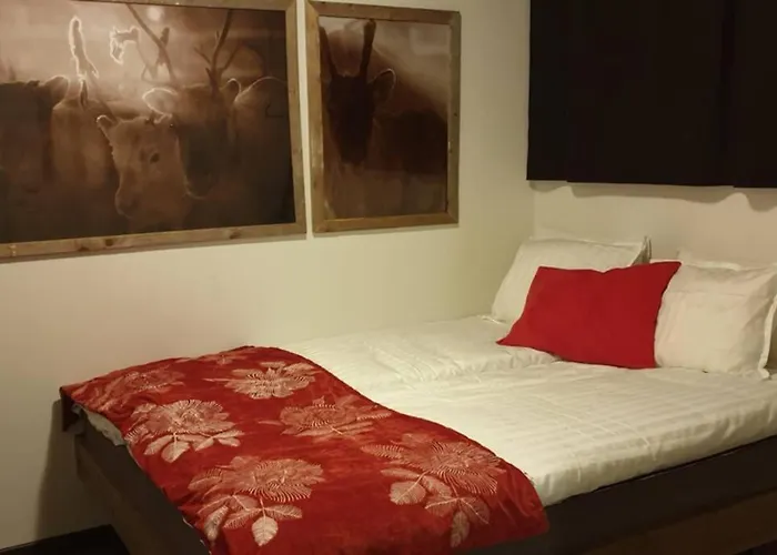 Tule Lomalle Luppoaikaan