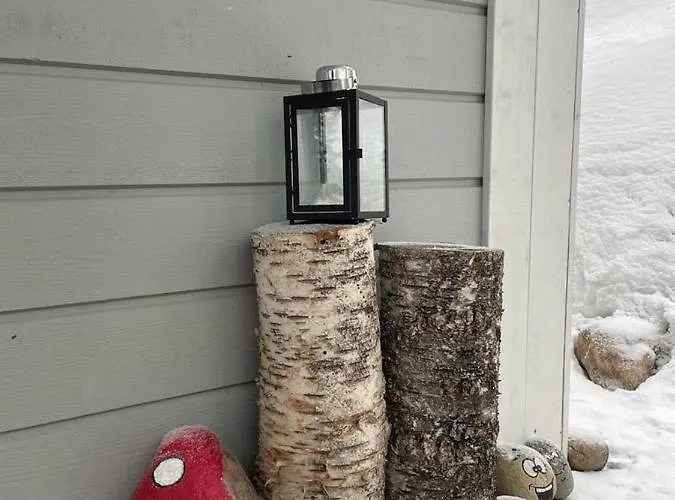 Tule Lomalle Luppoaikaan *