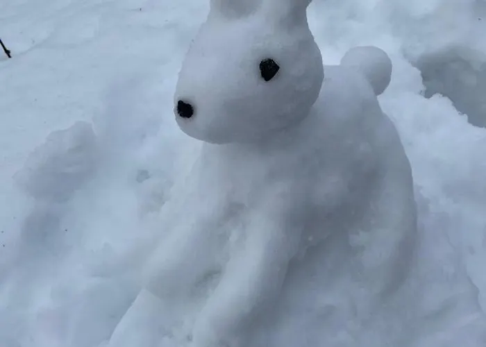 Tule Lomalle Luppoaikaan * Rovaniemi