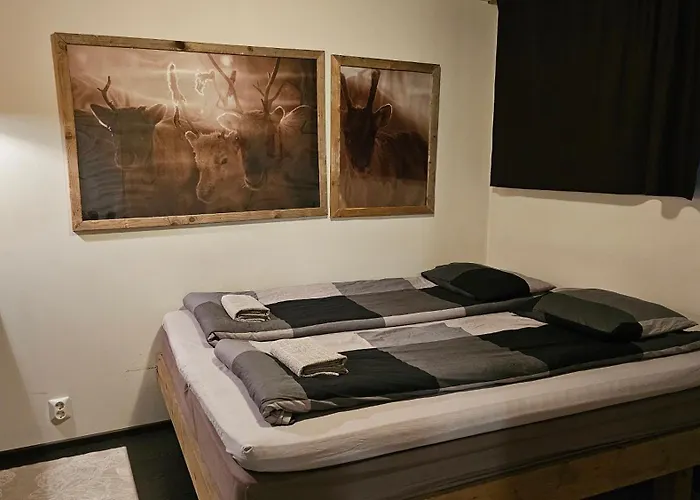 Tule Lomalle Luppoaikaan Tatil Evi Rovaniemi