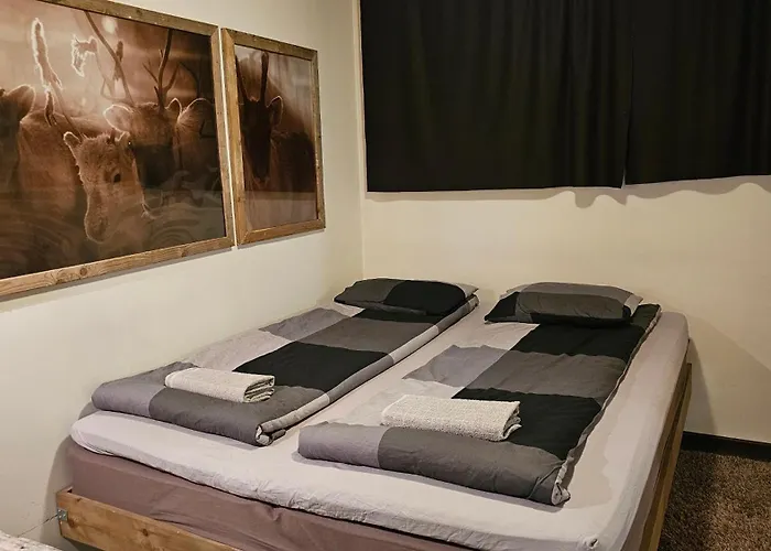 Tule Lomalle Luppoaikaan *