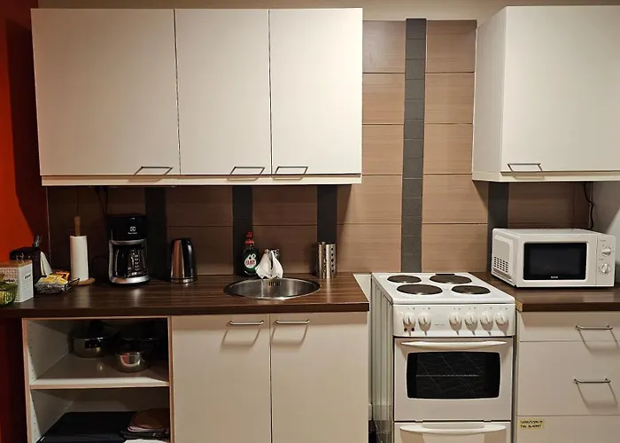 Tule Lomalle Luppoaikaan Rovaniemi